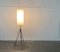 Mid-Century Minimalist Tripod Floor Lamp, 1960s 15