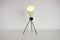 Model 1618 Table Lamp attributed to Josef Hurka for Napako, 1960s 10