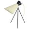 Model 1618 Table Lamp attributed to Josef Hurka for Napako, 1960s 1
