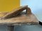 Large African Senoufo Bed, 1950s, Image 47