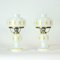 Mid-Century Table Lamps in Opaline Glass, Czechoslovakia, 1960s, Set of 2, Image 1