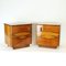 Nightstands in Walnut Veneer, Czechoslovakia, 1960s, Set of 2 1