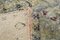 Vintage Colorful Faded Rug 15