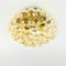 Amber Bubble Glass Ceiling Lights or Sconces attributed to Helena Tynell for Limburg, Germany, 1960s, Set of 2, Image 3