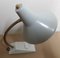 Vintage Adjustable Desk Lamp with Gray Plastic Base, 1970s 6