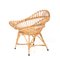 Mid-Century Italian Modern Rattan Armchair, 1960s 6