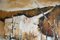Maurice Mitchell, White Cliff, fine XX secolo, olio su tela, Immagine 9