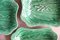 Piatti Foxglove in maiolica verde di Wedgwood, set di 3, Immagine 2