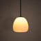 Large Antique Opaline Tulip Pendant Light from Falks, Image 4