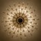 Crystal and Gilded Brass Wall or Ceiling Light attributed to Oscar Torlasco for Stilkronen, 1970s, Image 7