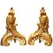 19th Century French Louis XV Style Gilt Bronze Lions Head Fireplace Andirons, Set of 2 1