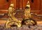 19th Century French Louis XV Style Gilt Bronze Lions Head Fireplace Andirons, Set of 2, Image 3