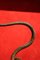 European Art Nouveau Wrought Hand Forged Rust Iron Snake Sculpture Centerpiece 13