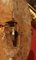 Italienische handgeschnitzte barocke Wandleuchten aus vergoldetem Holz mit vergoldetem Arm aus Bronze, 2er Set 8