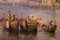 Consalvo Carelli,19th Century Italian Rectangular Oil on Board Landscape Marine Painting, Paint & Wood 4