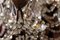 Italienischer Kronleuchter aus geschliffenem Kristallglas mit Perlen aus vergoldetem Eisen, 19. Jh 8