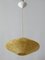 Mid-Century Modern Raffia Bast Pendant Lamp or Hanging Light, Germany, 1970s, Image 7