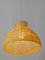 Mid-Century Modern Raffia Bast Pendant Lamp or Hanging Light, Germany, 1970s 13