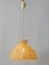 Mid-Century Modern Raffia Bast Pendant Lamp or Hanging Light, Germany, 1970s 9