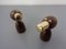 Mid-Century Salt and Pepper Shakers, 1960s, Set of 2, Image 4
