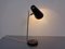 Lámpara de escritorio danesa ajustable, años 60, Imagen 11