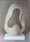 Sculpture Infinty, Silvered Basswood, M.Treml, Austria, 2021 2