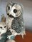 Vintage Barn Owl & Babies Figurine, 1980s, Image 5