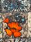 Cuadro mural de azulejos con flores de Vallauris, France, años 60, Imagen 13
