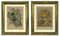 Emil Hochdanz, Flora and Fauna, Lithographs, 19th Century, Framed, Set of 2 1