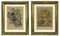 Emil Hochdanz, Flora and Fauna, Lithographs, 19th Century, Framed, Set of 2, Image 1