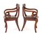 Regency Elbow Chairs in Mahogany, Set of 2 6
