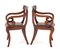 Regency Elbow Chairs in Mahogany, Set of 2, Image 6