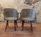 FT30 Armchairs by Cees Braakman for Pastoe, 1960s, Set of 2 4