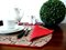 Miami Smoothed Tablemat from Angelina Home, Set of 4 4