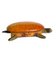 Turtle Shaped Leather and Bronze Jewelry Box, France, 1950s 36