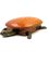 Joyero francés de cuero y bronce con forma de tortuga, años 50, Imagen 31