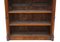 19th Century Mahogany Bookcase, 1870s 4