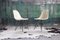 Chaises d'Appoint Tour Eiffel Vintage Coquille d'uf et Fibre de Verre Noire par Charles Eames pour Herman Miller, 1950s, Set de 2 5