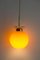Sara Pendant Lamp by Jugošik, 1960s 5