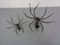 Iron Wall Spiders, 1960s, Set of 2 13