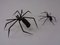 Iron Wall Spiders, 1960s, Set of 2 4