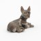 French Bulldog Figurine from Wiener Bronze, 1900 5