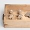 Cabinet of Curiosities Drawer Sculptural Artwork, 1950er 3