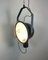 Industrial Grey Enamel Factory Spotlight Hanging Light with Glass Cover, 1950s 16