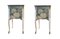 Gustavian Louis XV Style Chests with Floral Pattern, 1950s, Set of 2 2