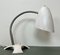 Mid-Century White Shrink Varnish Table Lamp, 1950s 3