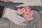 Nach Manet, Porträt einer Dame mit einer Rose, 1950er, Aquarell auf Papier 5
