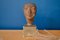 Antique Nefertiti Museum Bust 1