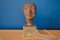 Antique Nefertiti Museum Bust, Image 1