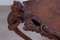 Living Room Tea Table with Tray in Carved Walnut, 1800s, Image 15